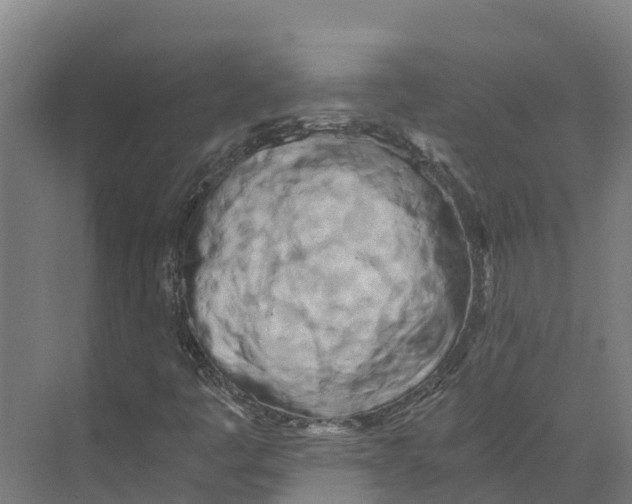 X0000073981445200609181704