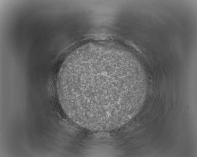 X0000073981446200609181704