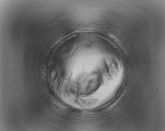 X0000073981449200609181704