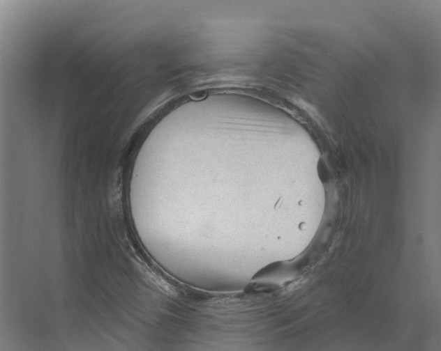 X0000073981450200609181704