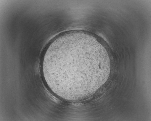 X0000073981452200609181704