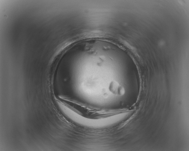 X0000073981453200609181704