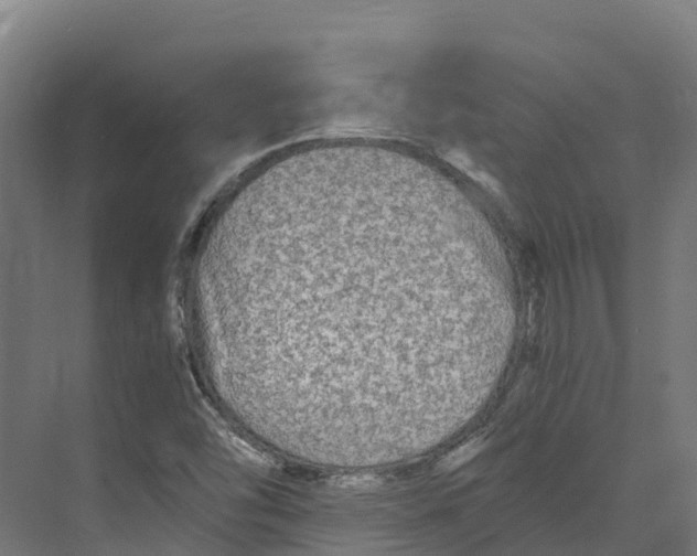 X0000073981454200609181704