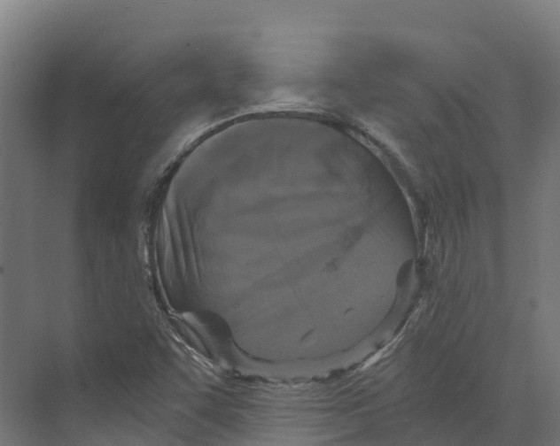 X0000073981455200609181704