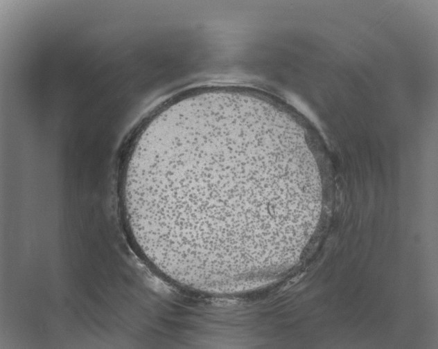 X0000073981456200609181704