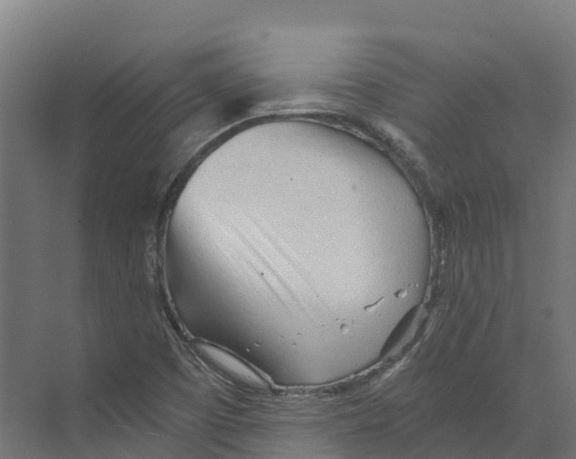 X0000073981457200609181704