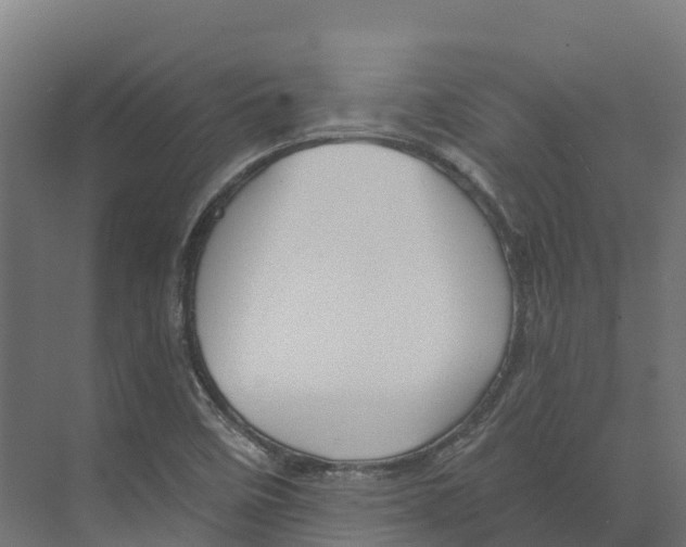 X0000073981458200609181704