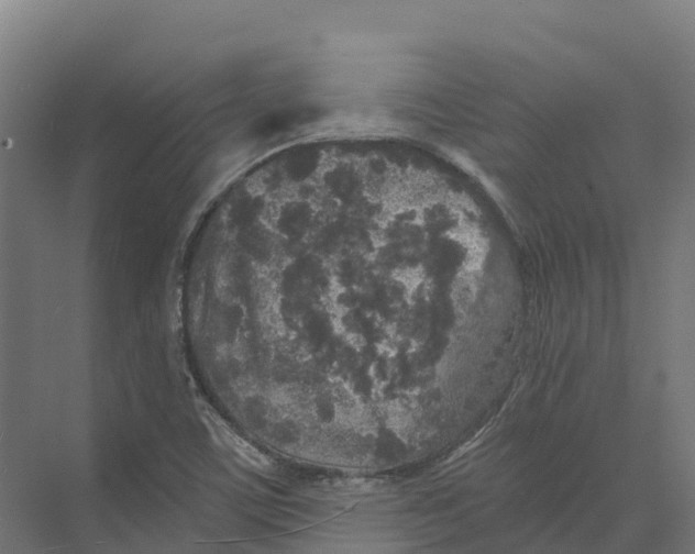 X0000073981459200609181704