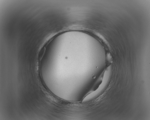 X0000073981461200609181704