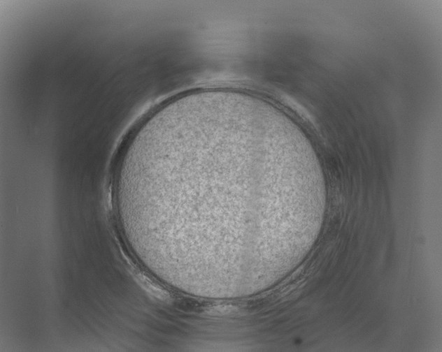 X0000073981462200609181704