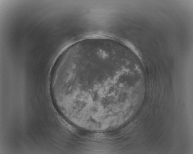 X0000073981463200609181704