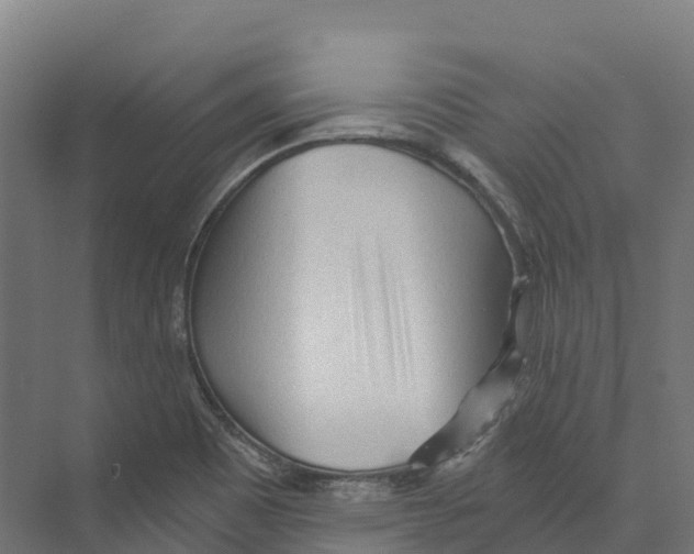 X0000073981465200609181704