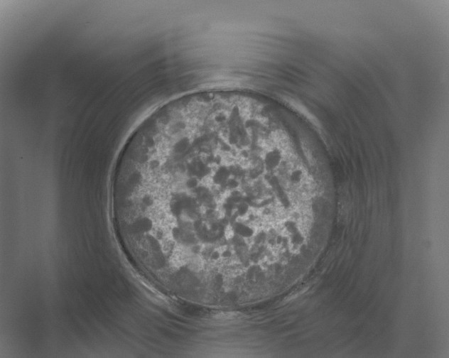 X0000073981467200609181704