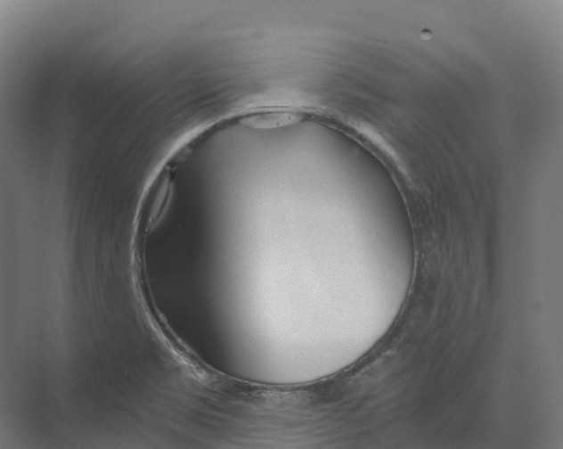 X0000073981469200609181704