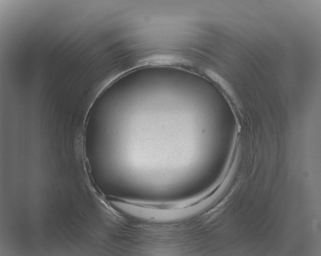 X0000073981473200609181704