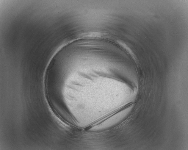 X0000073981475200609181704