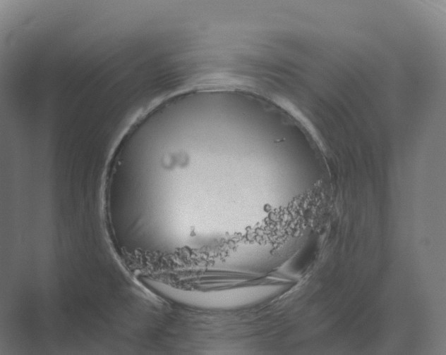 X0000073981477200609181703