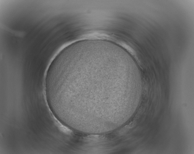 X0000073981478200609181703