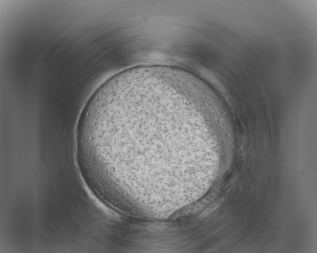 X0000073981479200609181703