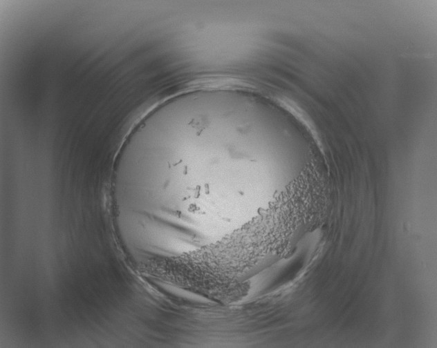 X0000073981481200609181703