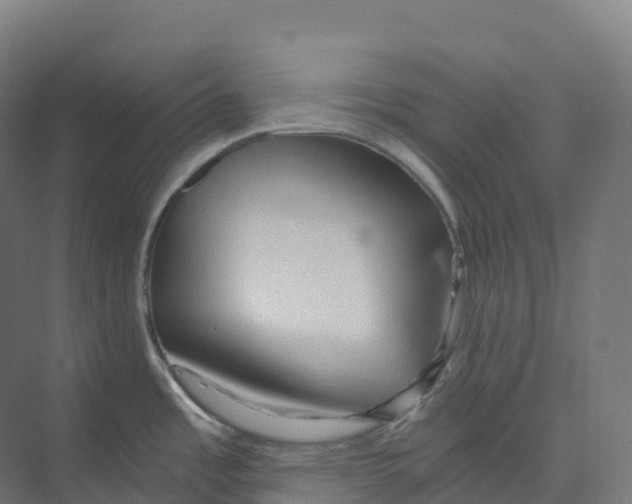 X0000073981485200609181703