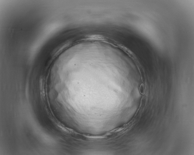 X0000073981487200609181703