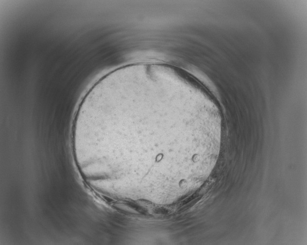 X0000073981488200609181703