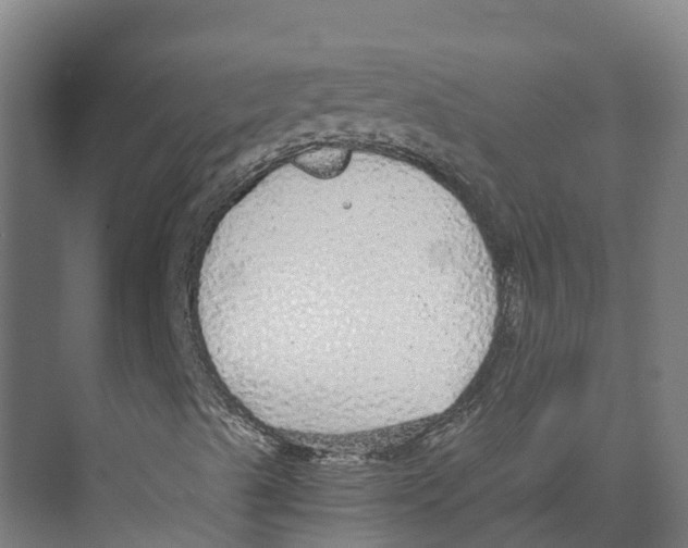 X0000073981489200609181702