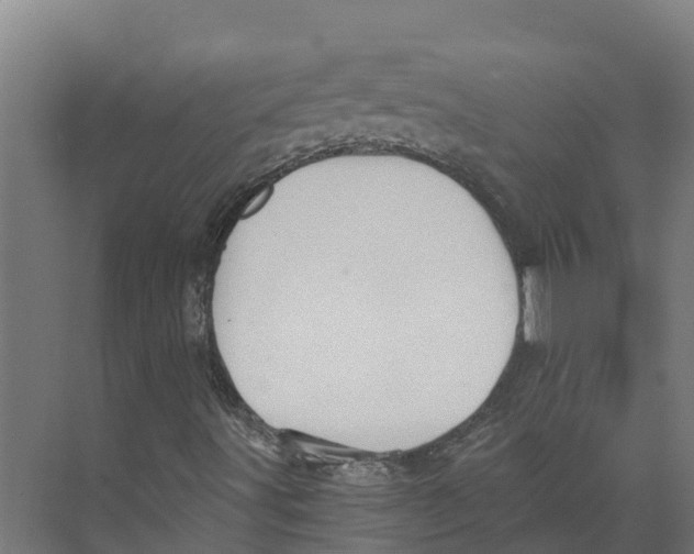 X0000073981491200609181703