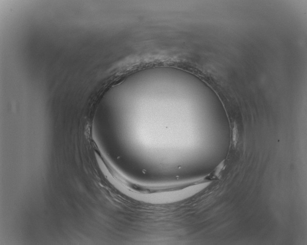 X0000073981492200609181703