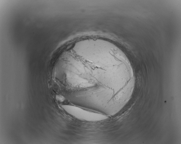 X0000073981494200609181703