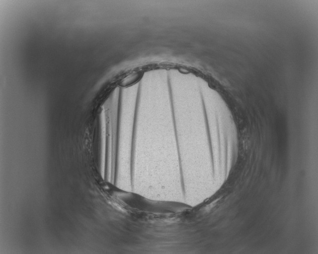 X0000073981495200609181703