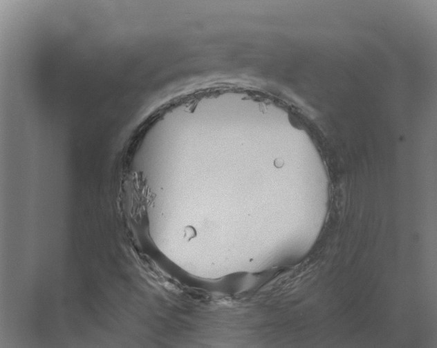 X0000073981496200609181703