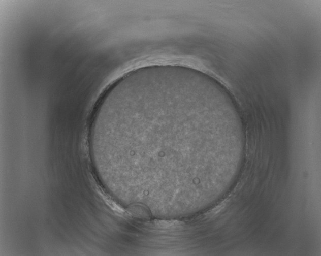 X0000073981498200609181703