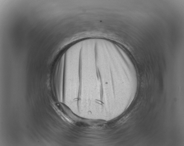 X0000073981499200609181703