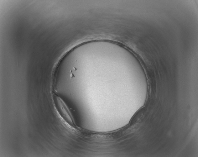 X0000073981500200609181703