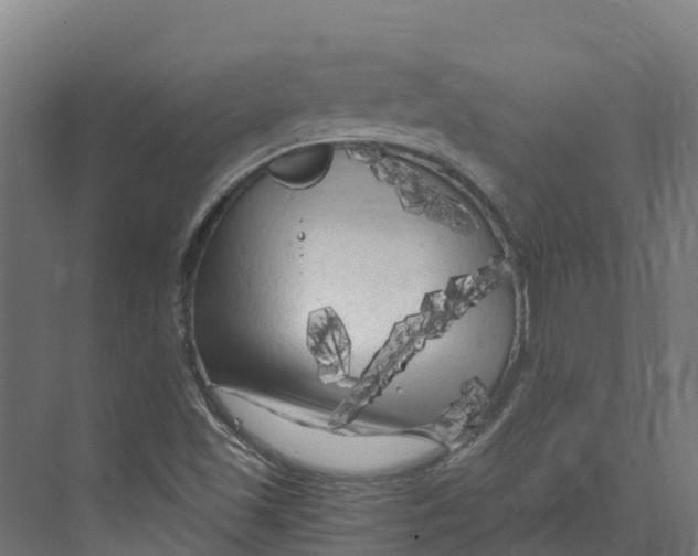 X0000073981501200609181703