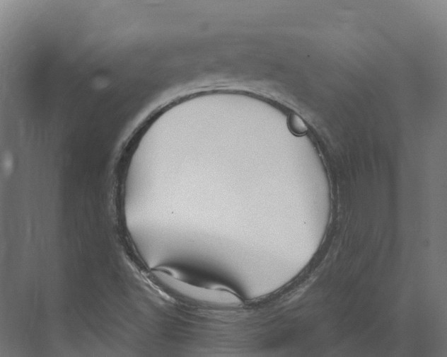 X0000073981502200609181703