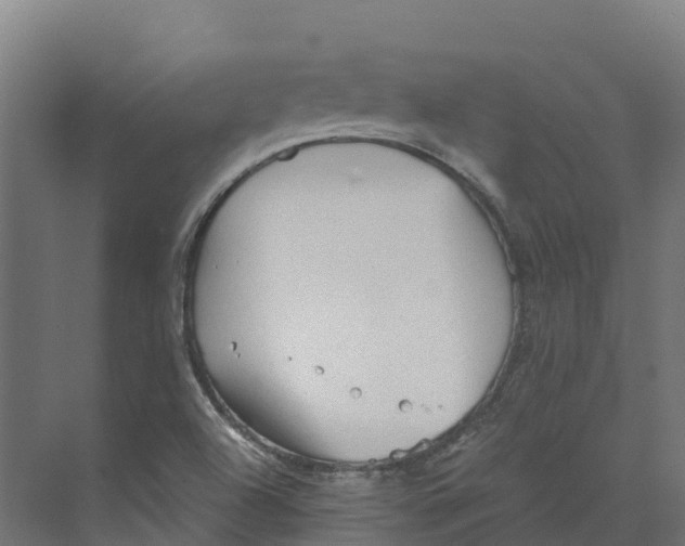 X0000073981504200609181703