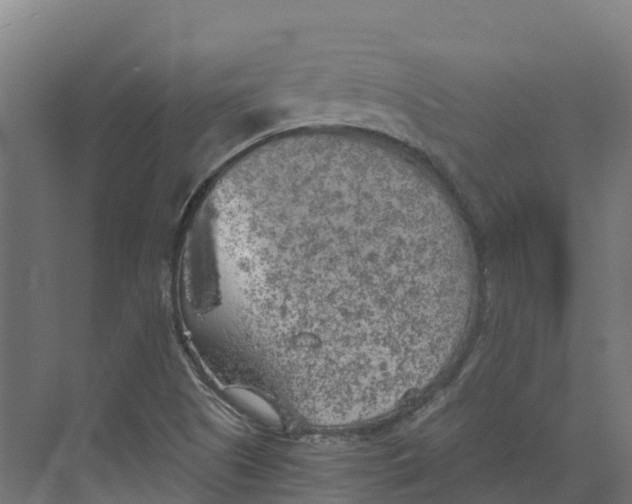 X0000073981505200609181703