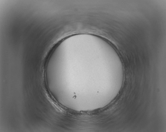 X0000073981507200609181703