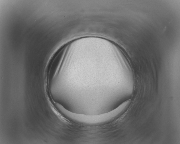 X0000073981511200609181703