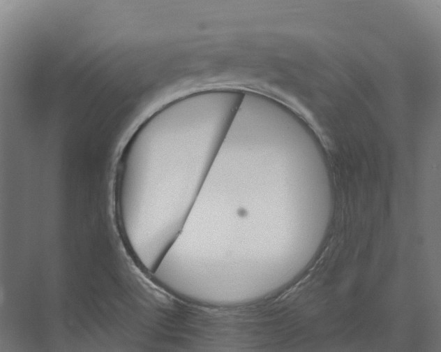 X0000073981512200609181703