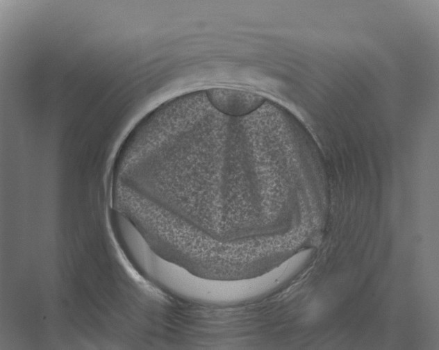 X0000073981515200609181703