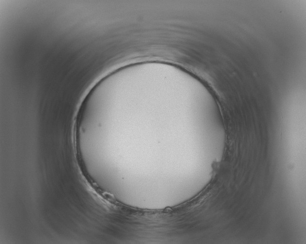 X0000073981516200609181703