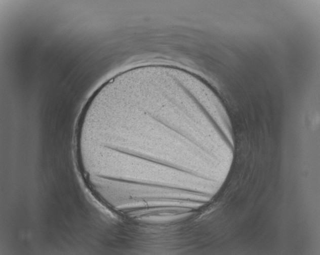 X0000073981518200609181703