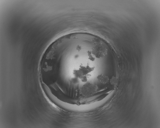 X0000073981519200609181703