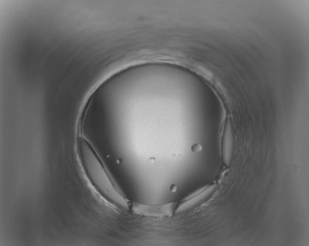 X0000073981520200609181703