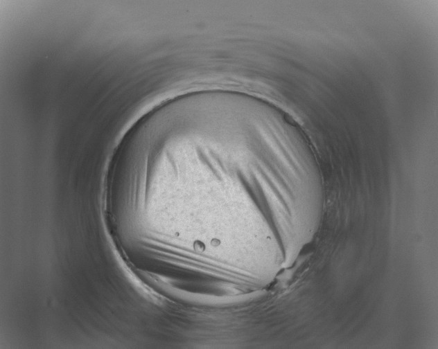 X0000073981523200609181703