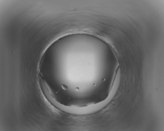 X0000073981524200609181703